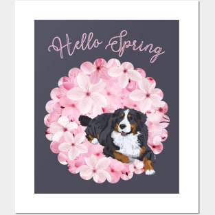 Hello Spring with Bernese Mountain Dog and Sakura Flower Circle Posters and Art